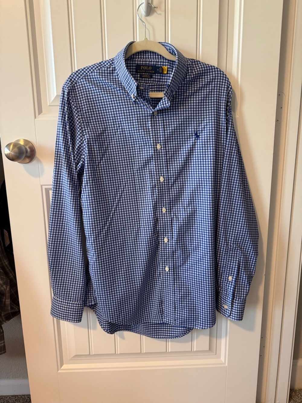 Polo by Ralph Lauren Blue Gingham Long-Sleeve Button-Down Shirt